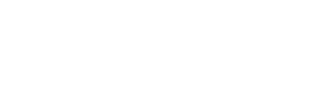 Puels.legal